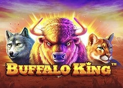 Buffalo King Rolletto Casino Slot