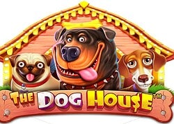 Dog House Rolletto Casino Game